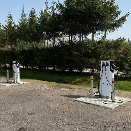 Radailiu Dvaras - Dinosaur Park Radailiai Exterior photo